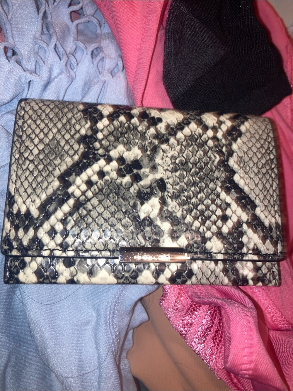 Snake-Print Wallet Clutch in Black & Cream